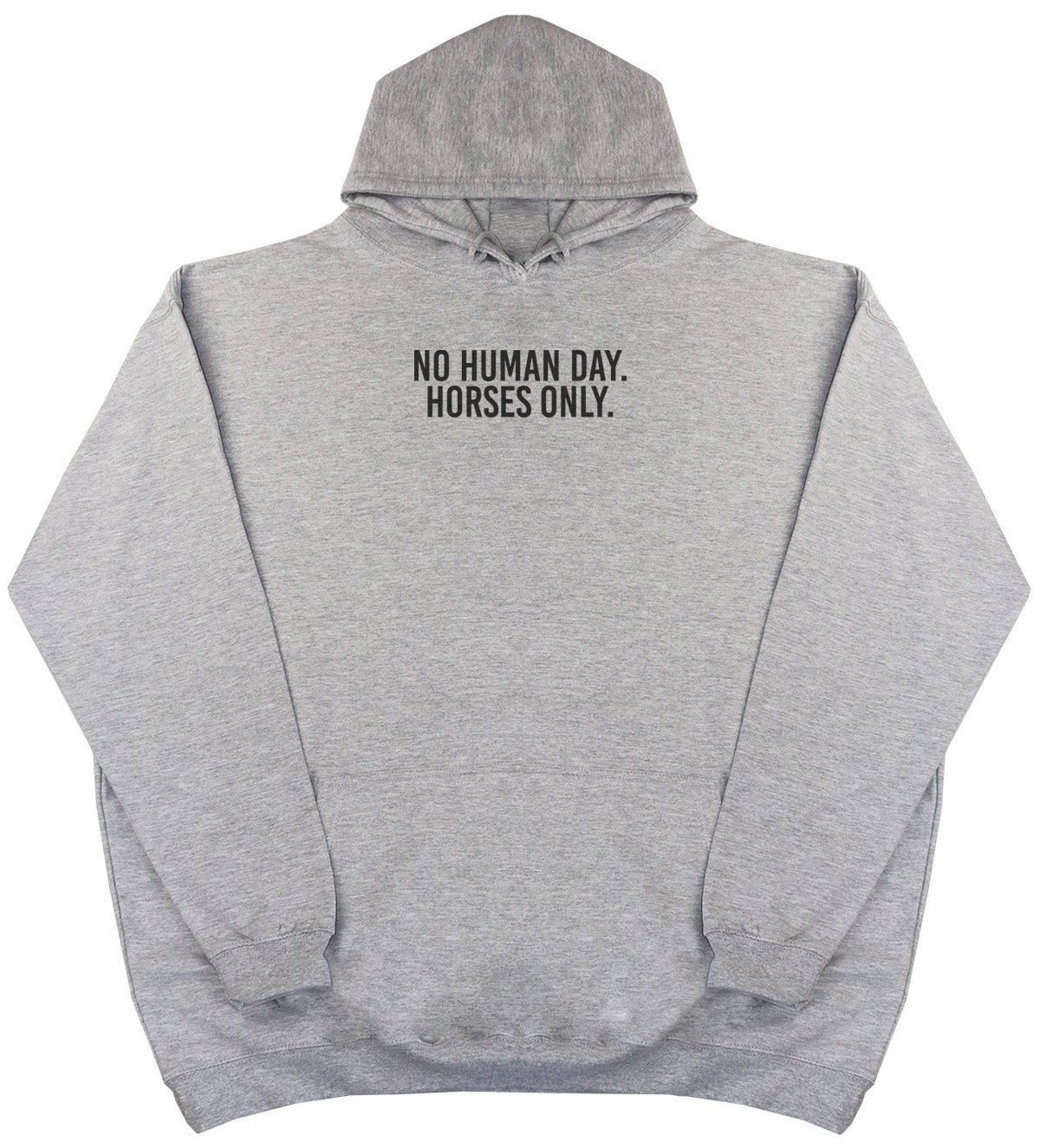 No Human Day. Horses Only - New Style - Oversized Comfy Hoody